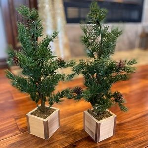 Plastic decorative trees (pair)